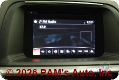 Vehicle photo 10
