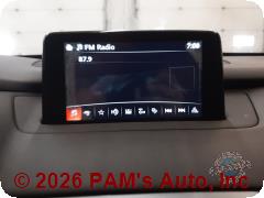 Vehicle photo 10